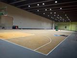 篮球塑胶地板